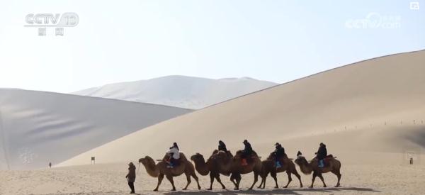 比服务、比创意,玩转“流量”密码!旅游消费“南北互换”成为热潮 比服务、比创意,玩转“流量”密码!旅游消费“南北互换”成为热潮