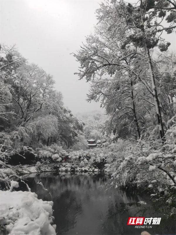 雪还在下！湖南多地暴雪刷屏，有人彻夜默默守护