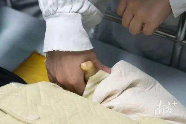 痛心！她走了，年仅3岁！但生命还在延续