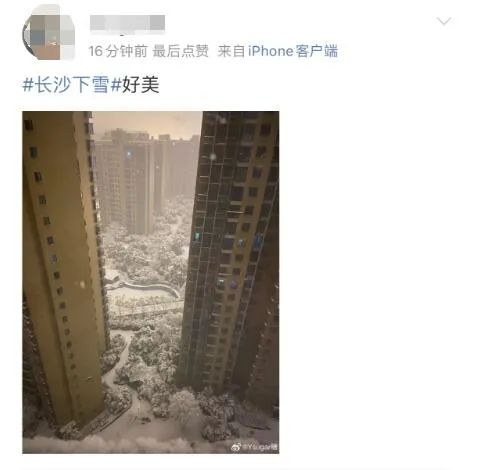 大雪如约而至!有人在欢呼,有人通宵未眠彻夜守护 大雪如约而至!有人在欢呼,有人通宵未眠彻夜守护