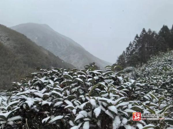 福建下雪了！这些地方中到大雪，局部暴雪！