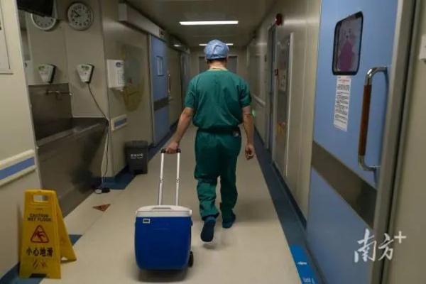 痛心！她走了，年仅3岁！但生命还在延续