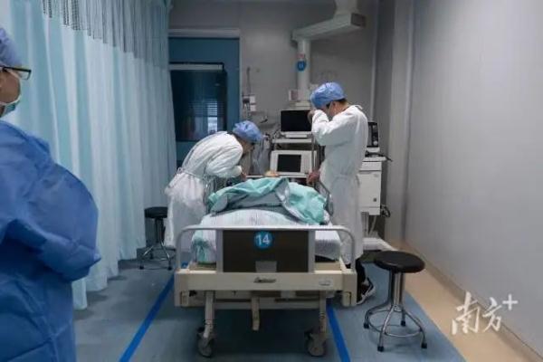 痛心！她走了，年仅3岁！但生命还在延续