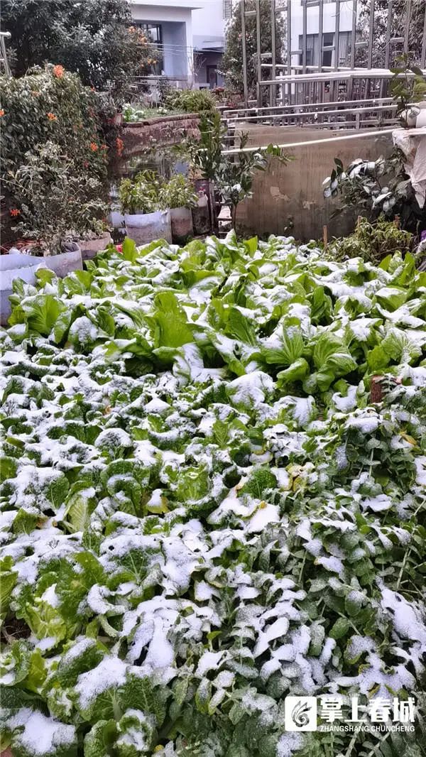 “冻真格”！昆明今早下雪啦！辖区内这几条高速已临时封闭！