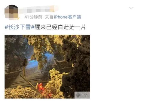 大雪如约而至!有人在欢呼,有人通宵未眠彻夜守护 大雪如约而至!有人在欢呼,有人通宵未眠彻夜守护