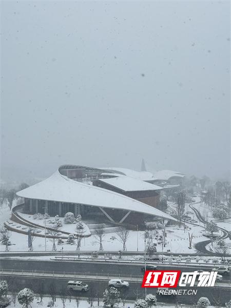 雪还在下！湖南多地暴雪刷屏，有人彻夜默默守护