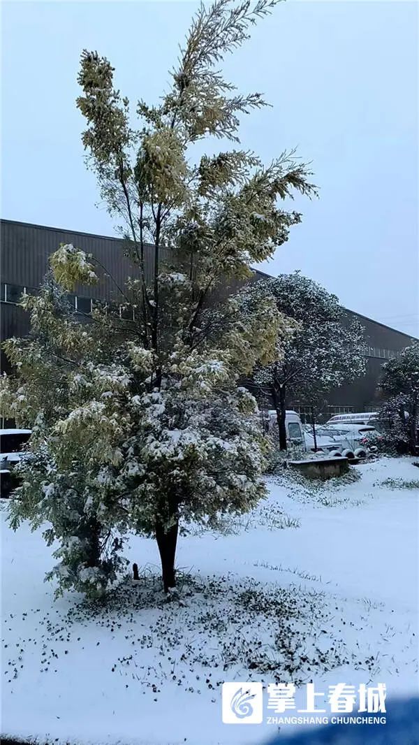 “冻真格”！昆明今早下雪啦！辖区内这几条高速已临时封闭！