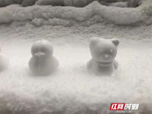 雪还在下！湖南多地暴雪刷屏，有人彻夜默默守护