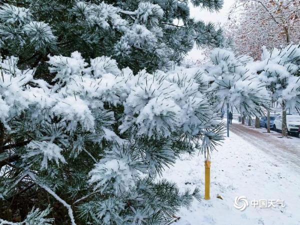 寒潮天气继续发力！