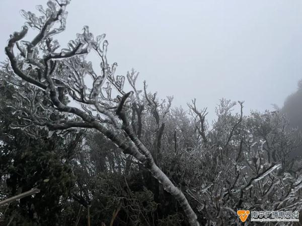 广西真的下雪了！“天寒地冻”模式开启，北海至涠洲岛航线停航