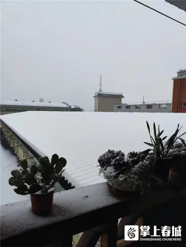 “冻真格”！昆明今早下雪啦！辖区内这几条高速已临时封闭！