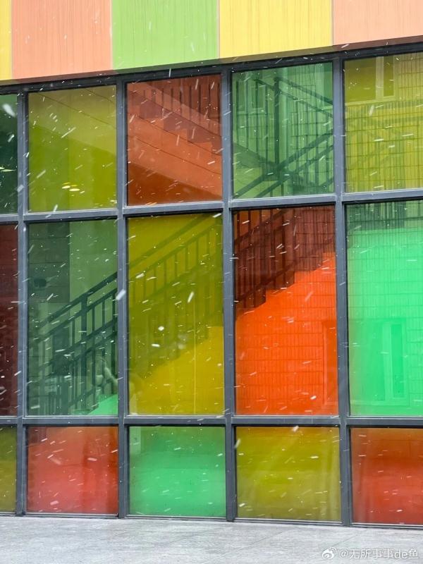 上海真的下雪了！道路结冰黄色预警发布 明后天更冷