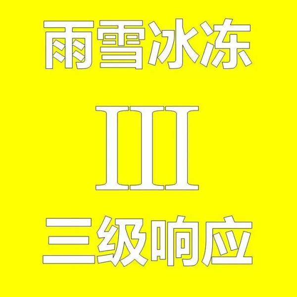 上海真的下雪了！道路结冰黄色预警发布 明后天更冷