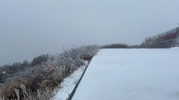 福建下雪了！这些地方中到大雪，局部暴雪！