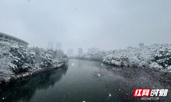 雪还在下！湖南多地暴雪刷屏，有人彻夜默默守护