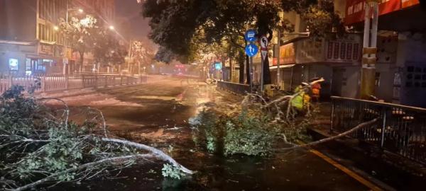 雪还在下！湖南多地暴雪刷屏，有人彻夜默默守护