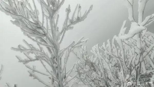 广东今年第一场雪来了!还会更冷,广州明天最低3℃ 广东今年第一场雪来了!还会更冷,广州明天最低3℃