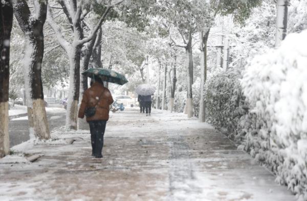 积雪最深超15厘米!江西调整应急响应为三级 积雪最深超15厘米!江西调整应急响应为三级
