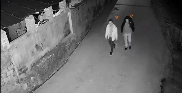老乡家接连丢了鸡、鸭，以为来了黄鼠狼！没想到竟是......