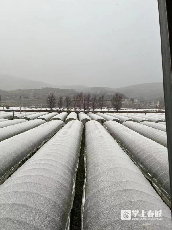 “冻真格”！昆明今早下雪啦！辖区内这几条高速已临时封闭！