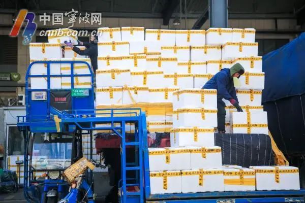 宁波平原地区迎今冬首次降雪,如何平安出行?宁波人的“菜篮子”还好吗? 宁波平原地区迎今冬首次降雪,如何平安出行?宁波人的“菜篮子”还好吗?