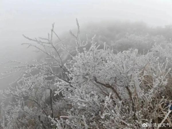 广州今年首个寒冷红色预警发布！会下雪吗？