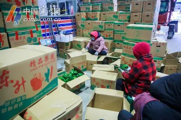 宁波平原地区迎今冬首次降雪,如何平安出行?宁波人的“菜篮子”还好吗? 宁波平原地区迎今冬首次降雪,如何平安出行?宁波人的“菜篮子”还好吗?