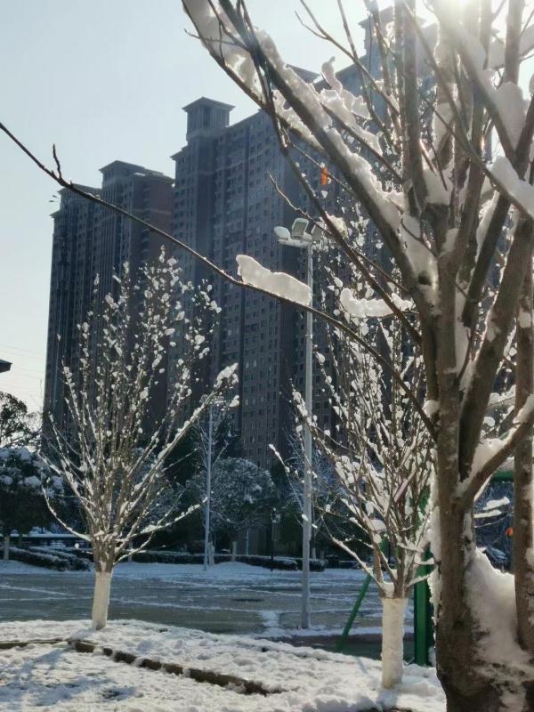 @长沙人 雪后，小心头顶！