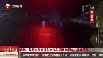 女子深夜开车撞向大货车，原因竟是……