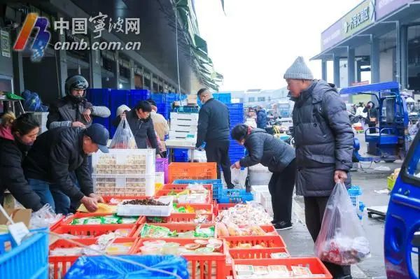 宁波平原地区迎今冬首次降雪,如何平安出行?宁波人的“菜篮子”还好吗? 宁波平原地区迎今冬首次降雪,如何平安出行?宁波人的“菜篮子”还好吗?