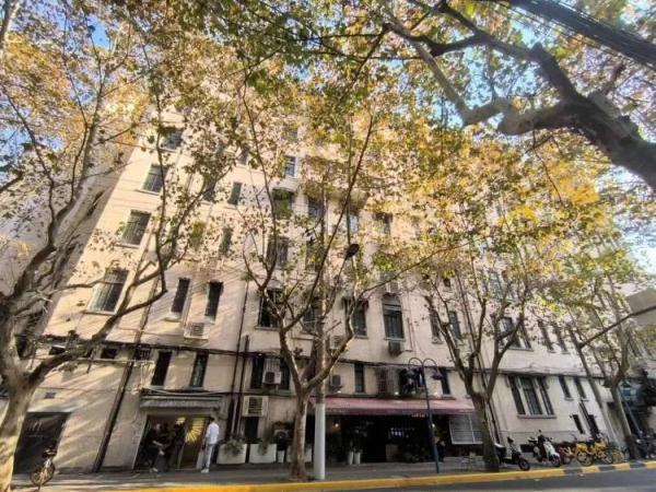 《繁花》之外，上海文旅还有什么牌？丨2024上海两会时间