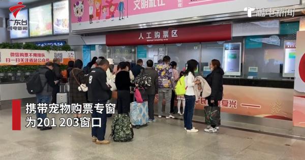 新路线！东莞“铲屎官”可以带猫猫乘车了！