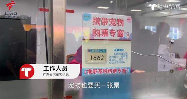 新路线！东莞“铲屎官”可以带猫猫乘车了！