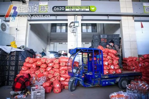 宁波平原地区迎今冬首次降雪,如何平安出行?宁波人的“菜篮子”还好吗? 宁波平原地区迎今冬首次降雪,如何平安出行?宁波人的“菜篮子”还好吗?