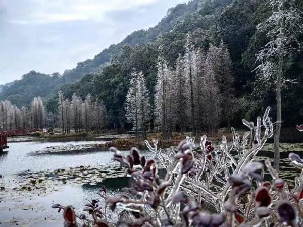 连广东都下雪了！还要冷多久？