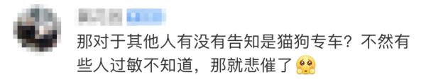 新路线！东莞“铲屎官”可以带猫猫乘车了！
