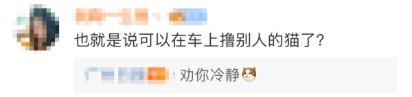 新路线！东莞“铲屎官”可以带猫猫乘车了！