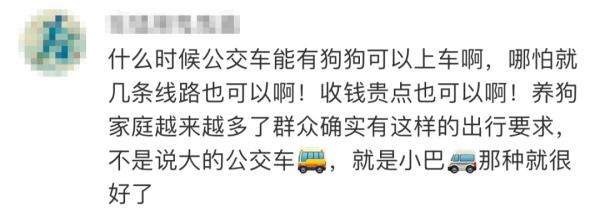 新路线！东莞“铲屎官”可以带猫猫乘车了！