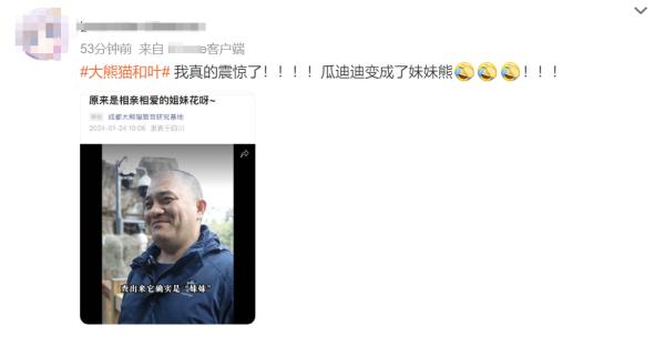 大熊猫基地官宣！和叶是“妹妹”不是“弟弟”