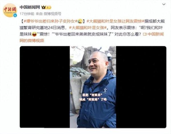 大熊猫和叶是“女孩”！网友：和叶花花原来是姐妹