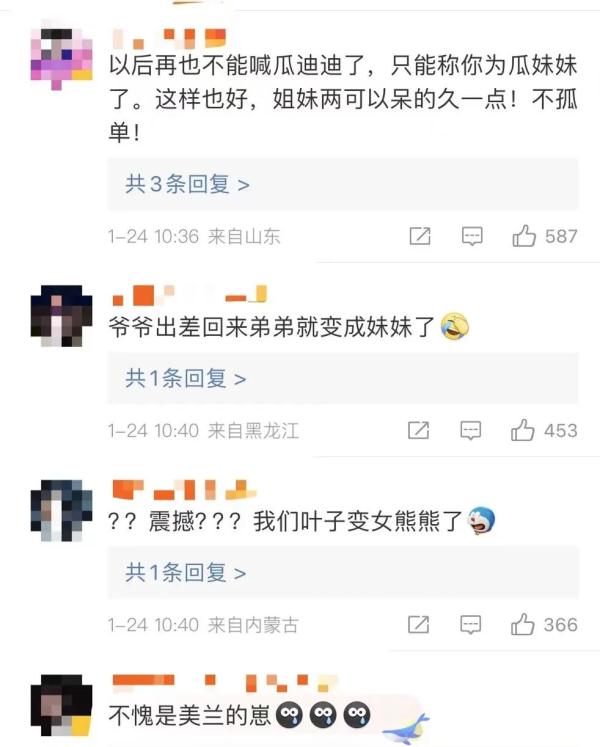 大熊猫和叶的性别搞错了！全网震惊：什么？