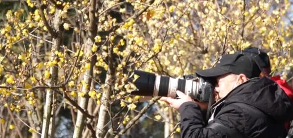 开园！武汉知名景区：名字里有这个字的游客，免门票