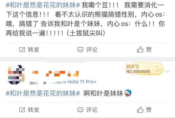以前被当作“男熊”的大熊猫“和叶”其实是女孩！粉丝：原来是姐妹呀