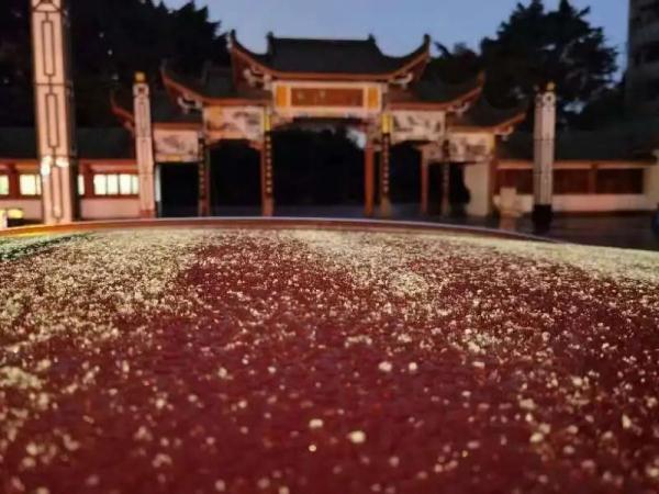 家人们谁懂啊！重庆中心城区下雪了
