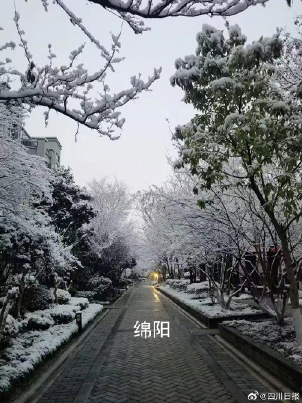 雪雪雪！四川多地瑞雪兆丰年