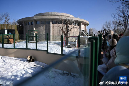 大熊猫格格和喜乐乔迁新居啦 大熊猫格格和喜乐乔迁新居啦