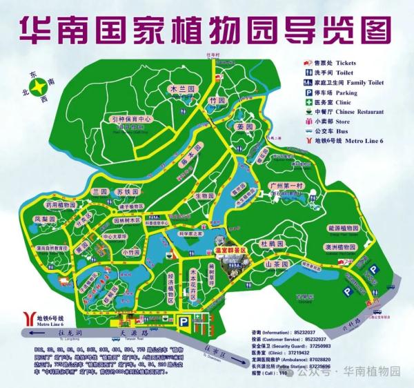 提前一个月！广州2024年第一波樱花开了！