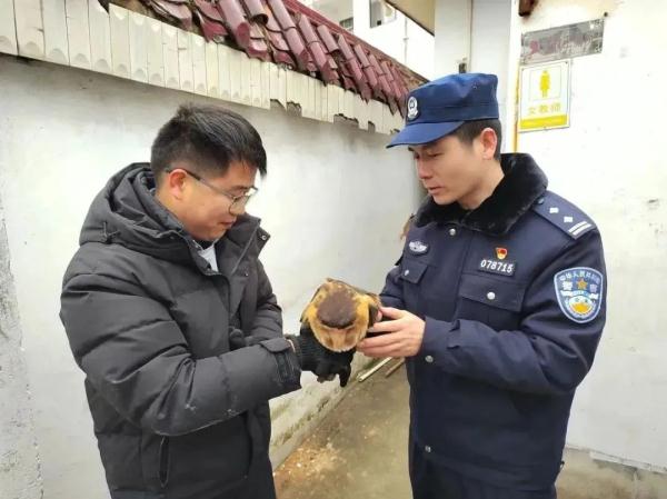 天寒地冻人心暖，一只“可爱萌物”被救助→