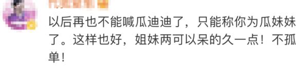 “弟弟变妹妹”?熊猫界顶流“男明星”原来是女孩! “弟弟变妹妹”?熊猫界顶流“男明星”原来是女孩!