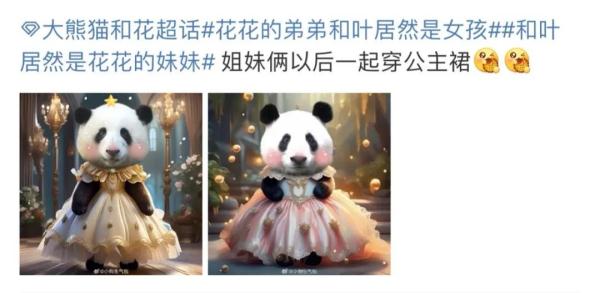 以前被当作“男熊”的大熊猫“和叶”其实是女孩！粉丝：原来是姐妹呀
